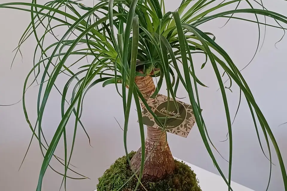 Annabelnature — photo 7