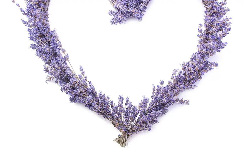 Conseils-Organisation-Provence — photo 4