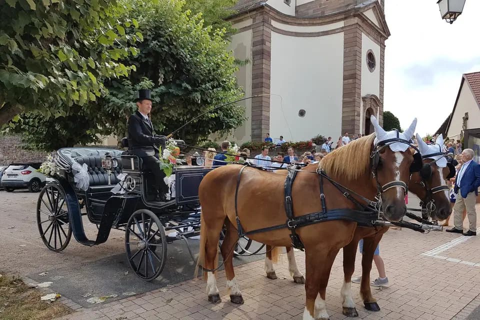 Ecurie Biechel — photo 1