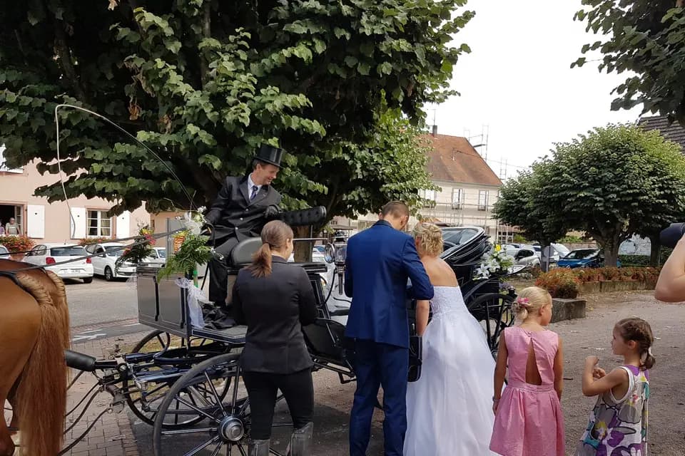 Ecurie Biechel — photo 5