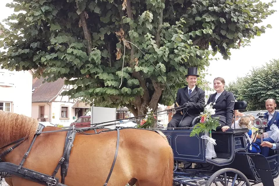 Ecurie Biechel — photo 4