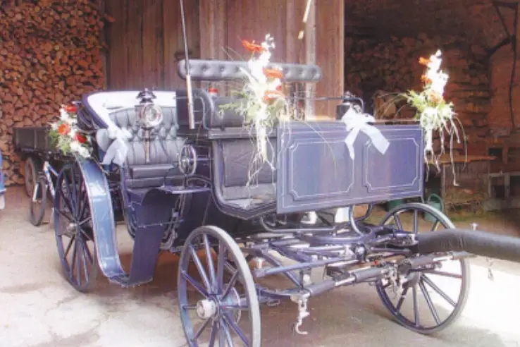 Ecurie Biechel — photo 2