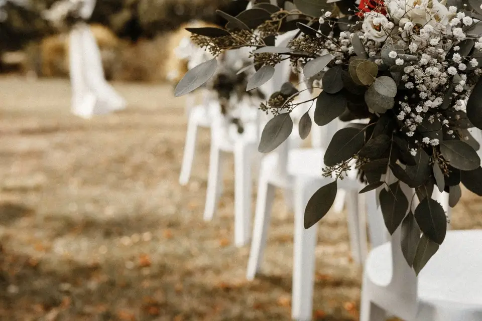 Voulez-Vous — photo 2