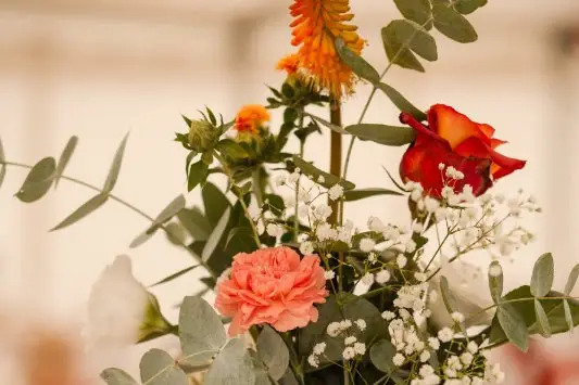 Melle Hortense  — photo 6