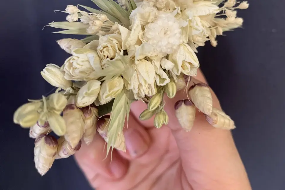 Melle Hortense  — photo 3