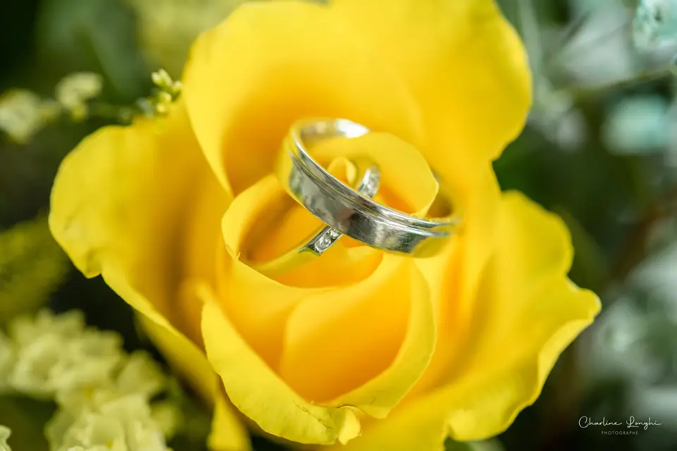 Charline Longhi Photographe — photo 1