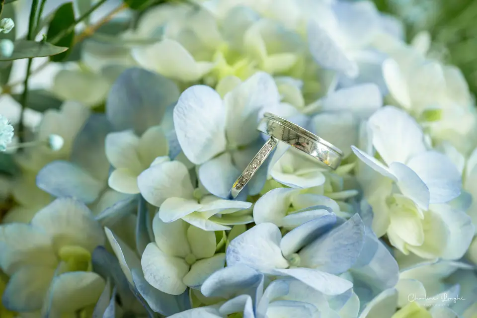 Charline Longhi Photographe — photo 4