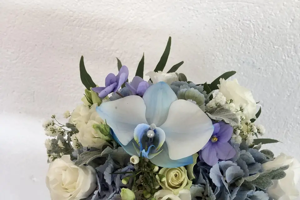 Lisa Flora — photo 5