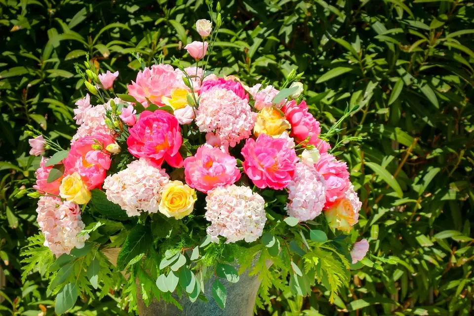 Les Trois Lys — photo 5