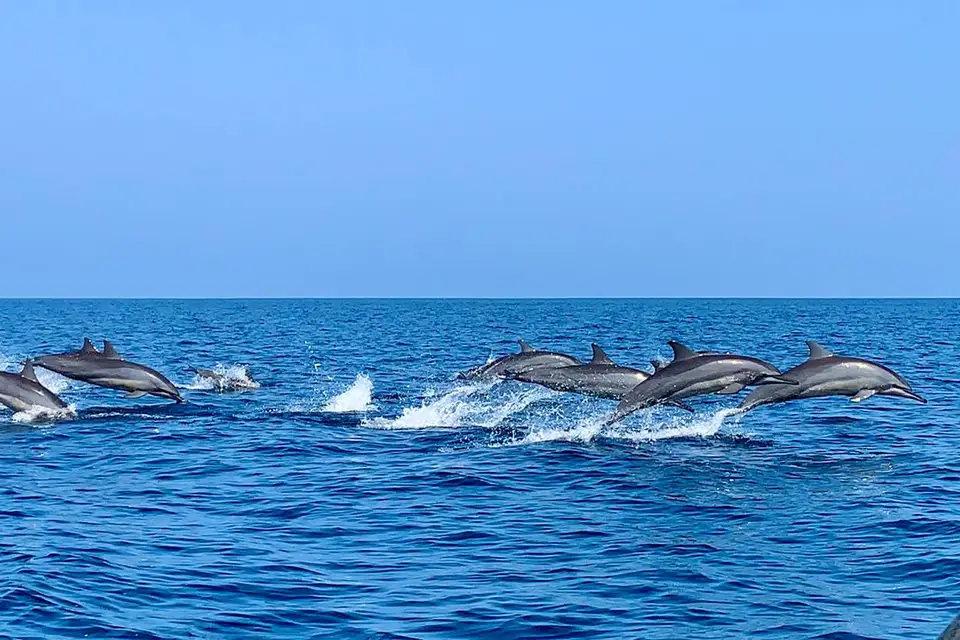 On My Way — photo 4