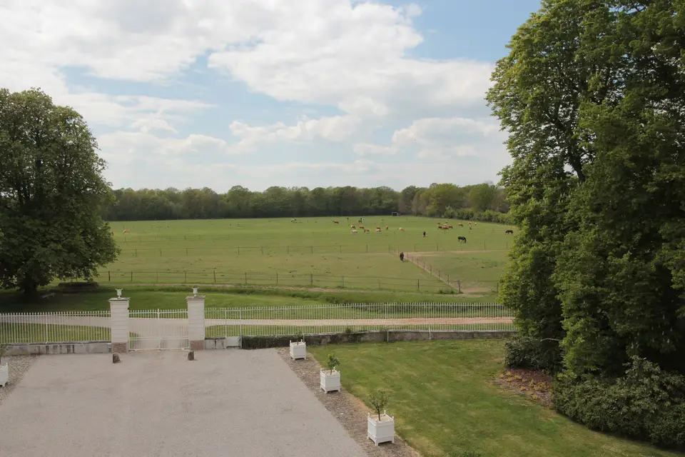 Domaine de la Chalotterie — photo 4