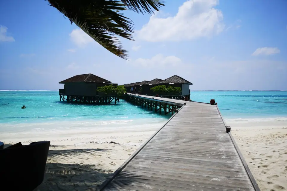 On My Way — photo 3