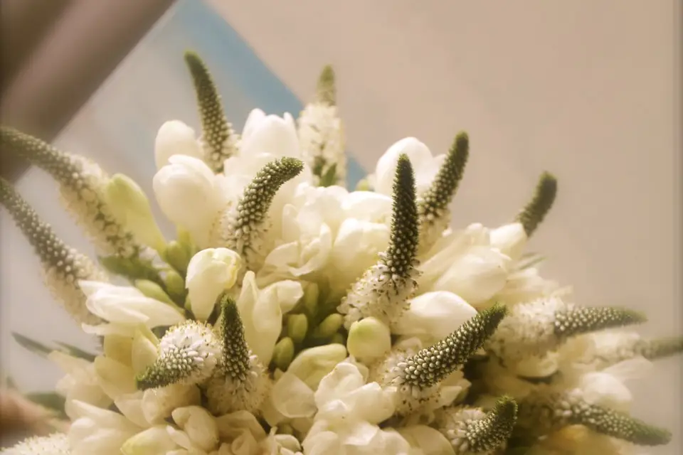 Les Trois Lys — photo 3