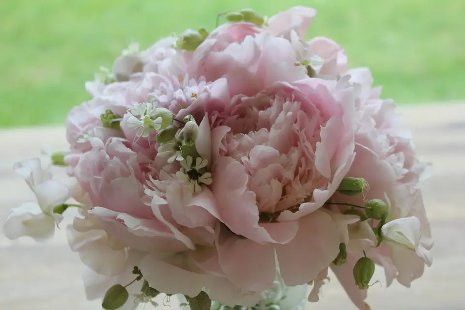 Les Trois Lys — photo 7