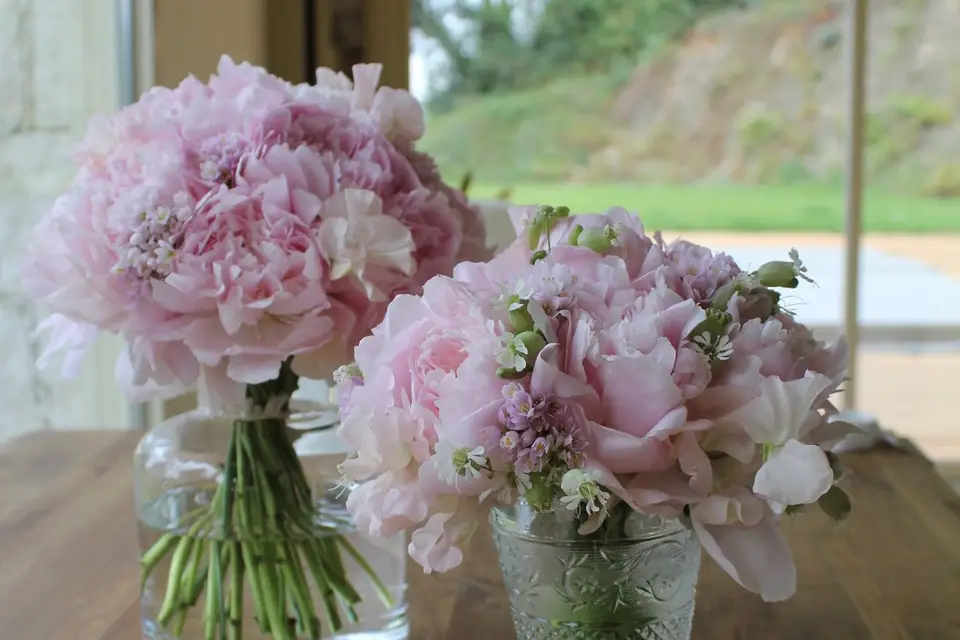 Les Trois Lys — photo 6