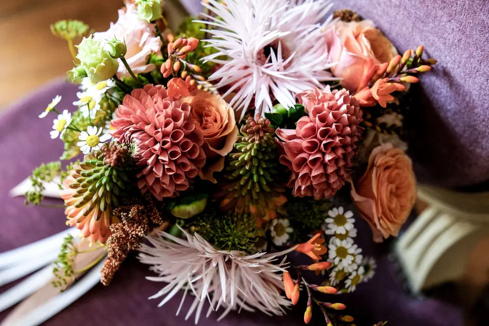 Pivoine By Thibaud — photo 2