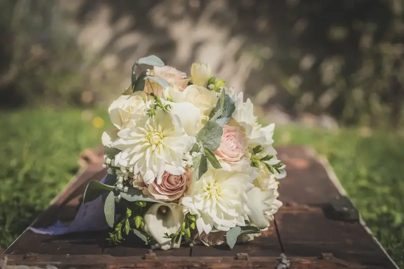 SL-Photographie — photo 5