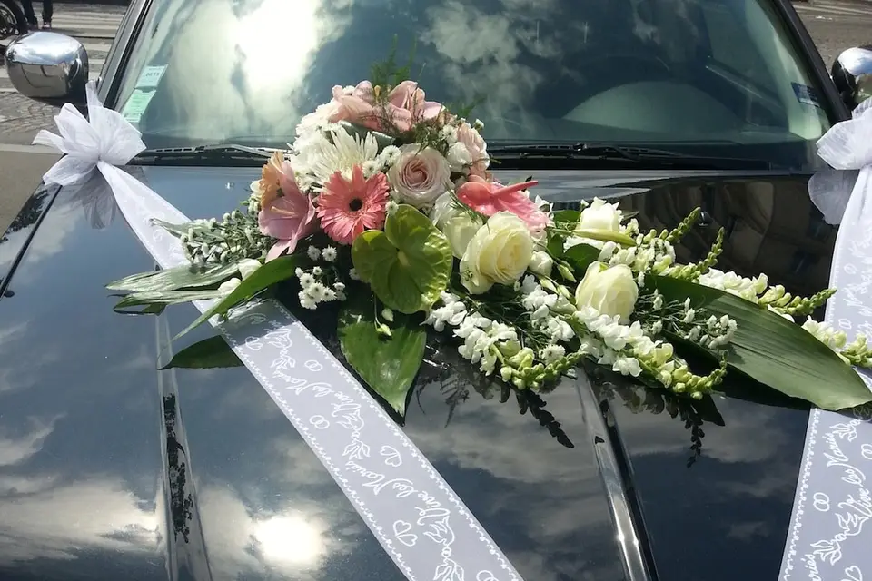 Les limousines Noires — photo 5