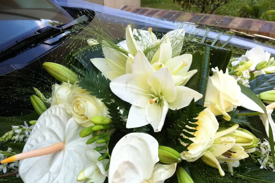 Les limousines Noires — photo 4