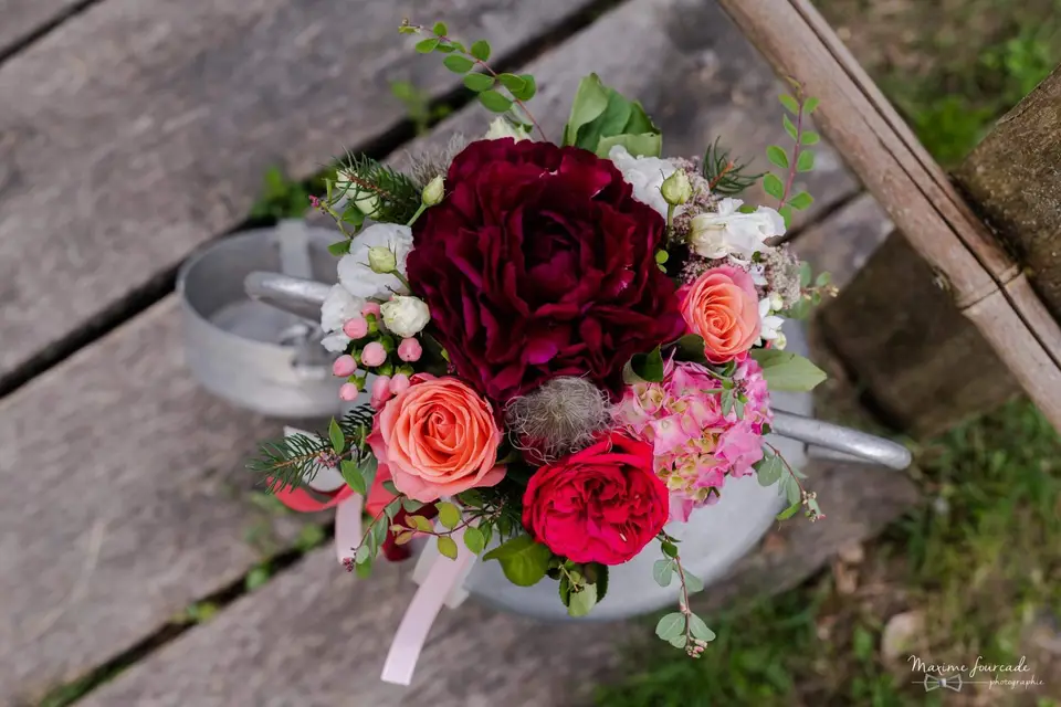 Melle Coeur D'artichô — photo 6