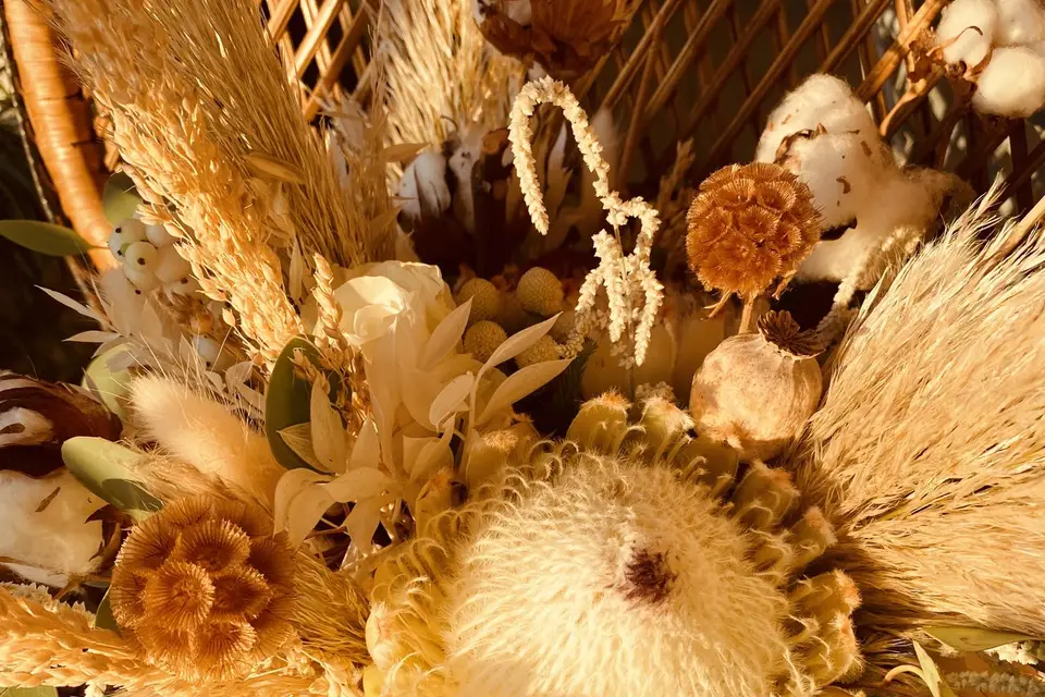 Melle Coeur D'artichô — photo 1