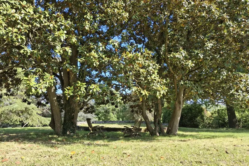 Domaine des Buis — photo 4