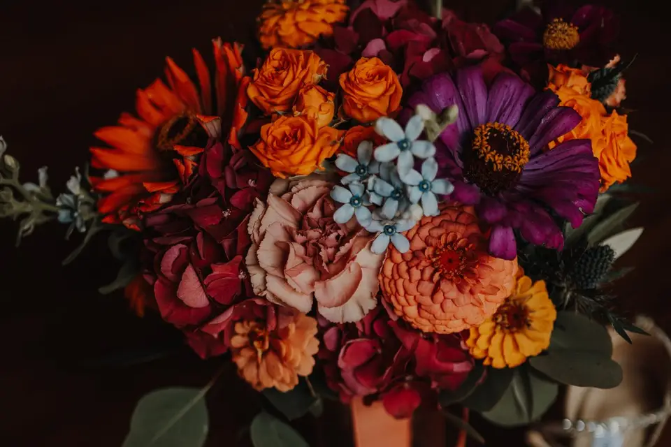 Melle Coeur D'artichô — photo 8