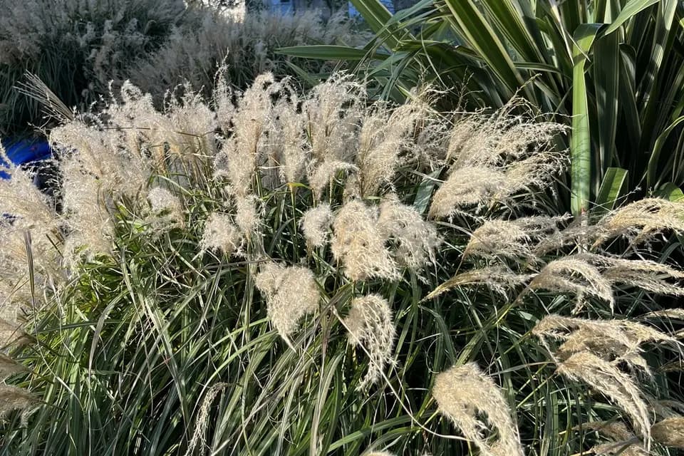 Villa Roubia Hôtel & Spa — photo 2