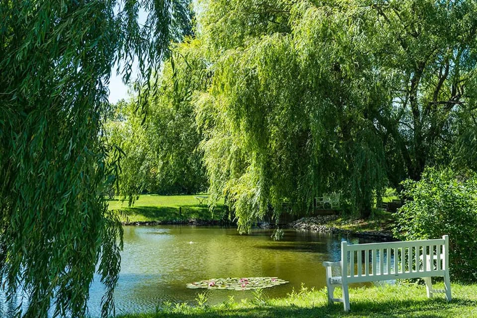 Château de Massillan — photo 2