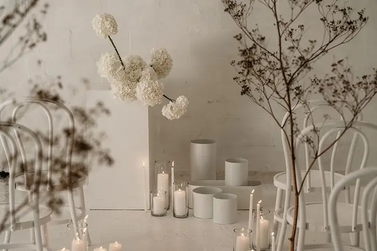 Black Peony — photo 5