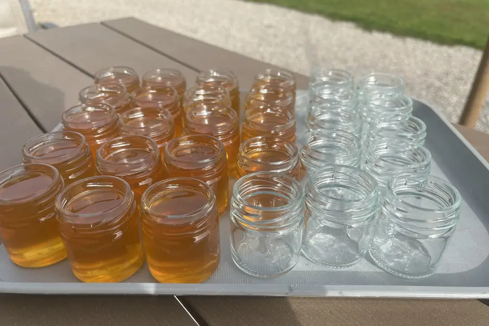 Les Abeilles du Perche — photo 8