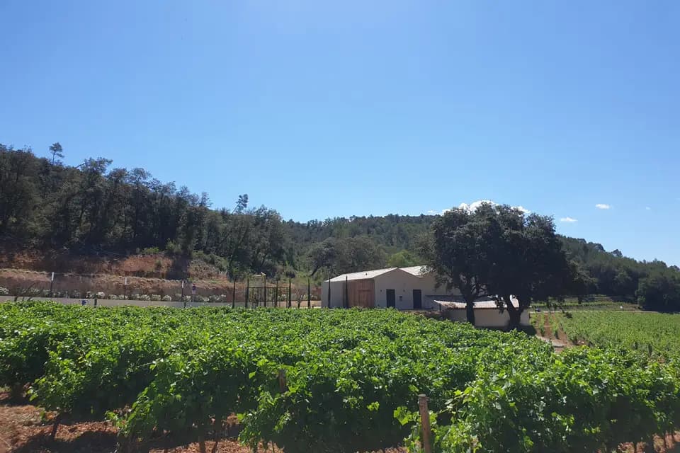 Château Clarettes — photo 8