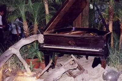 Amplitude Florale — photo 3