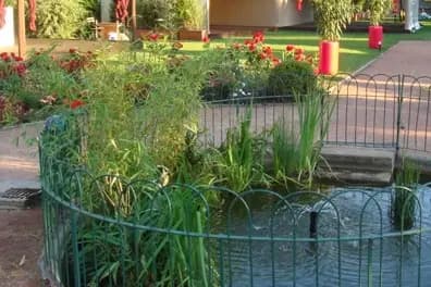 Amplitude Florale — photo 2