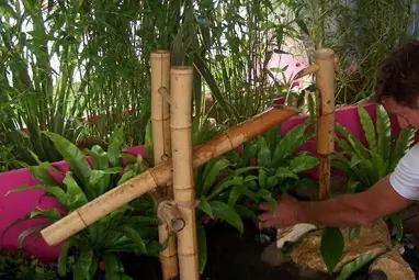 Amplitude Florale — photo 7