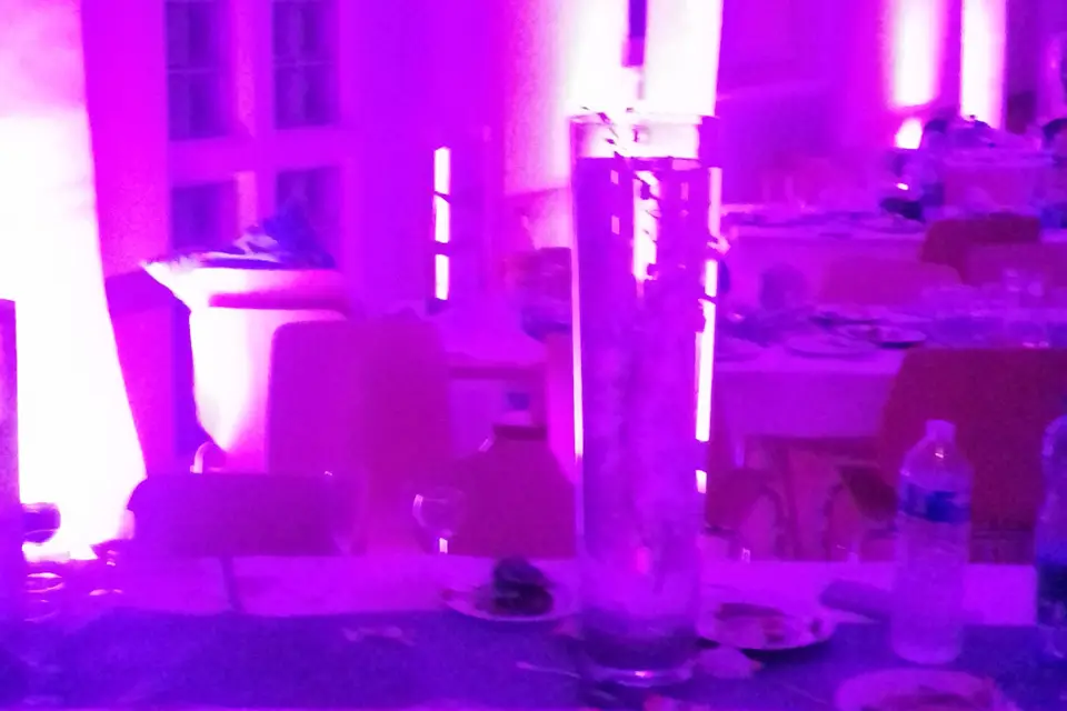 Fabien Balland Animation — photo 6