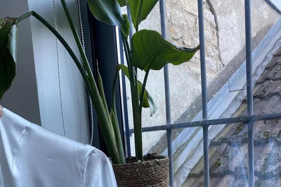 Étoile d'émotions — photo 6