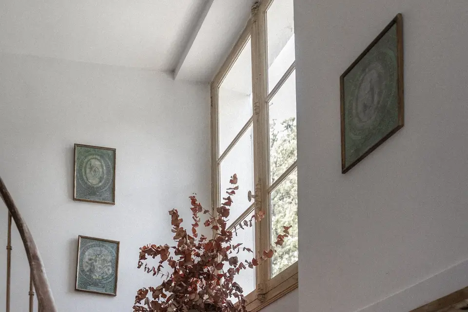 Tara Schmitt Photographe — photo 7