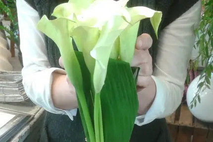 L'atelier Floral — photo 4