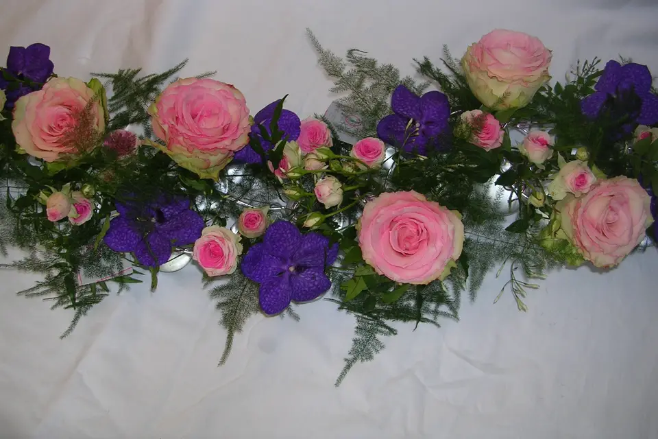 O² Rose — photo 8