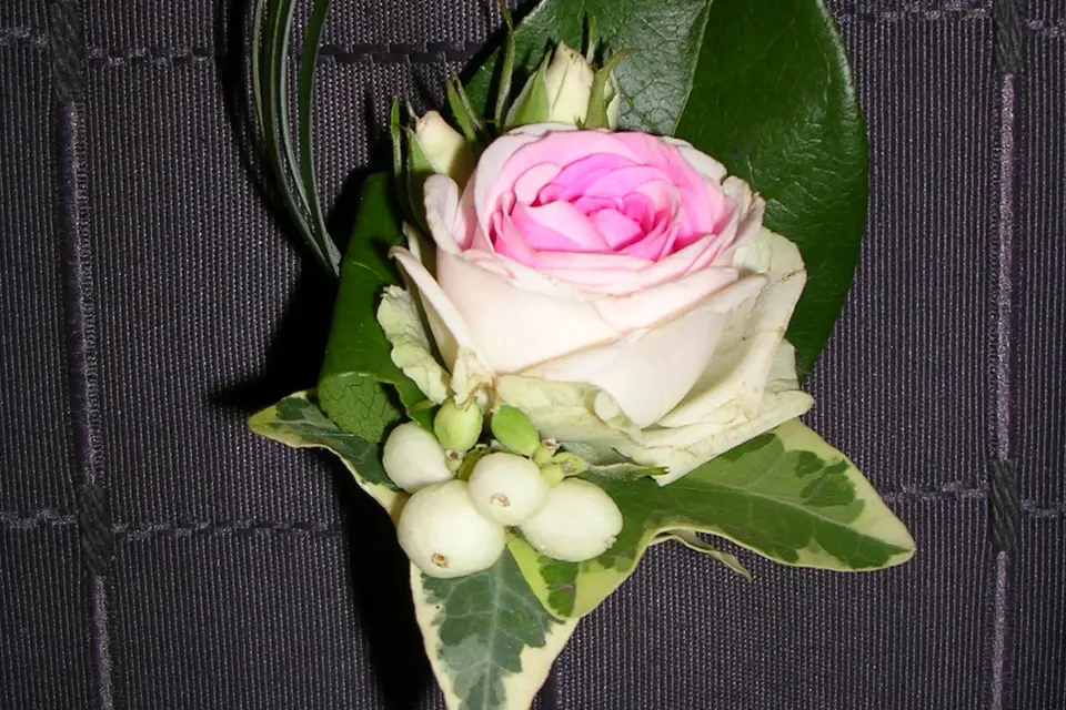 O² Rose — photo 4