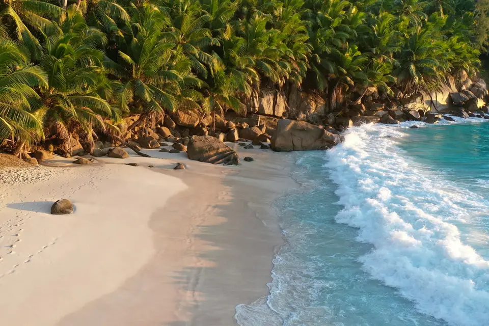 Jancarthier Voyages — photo 8