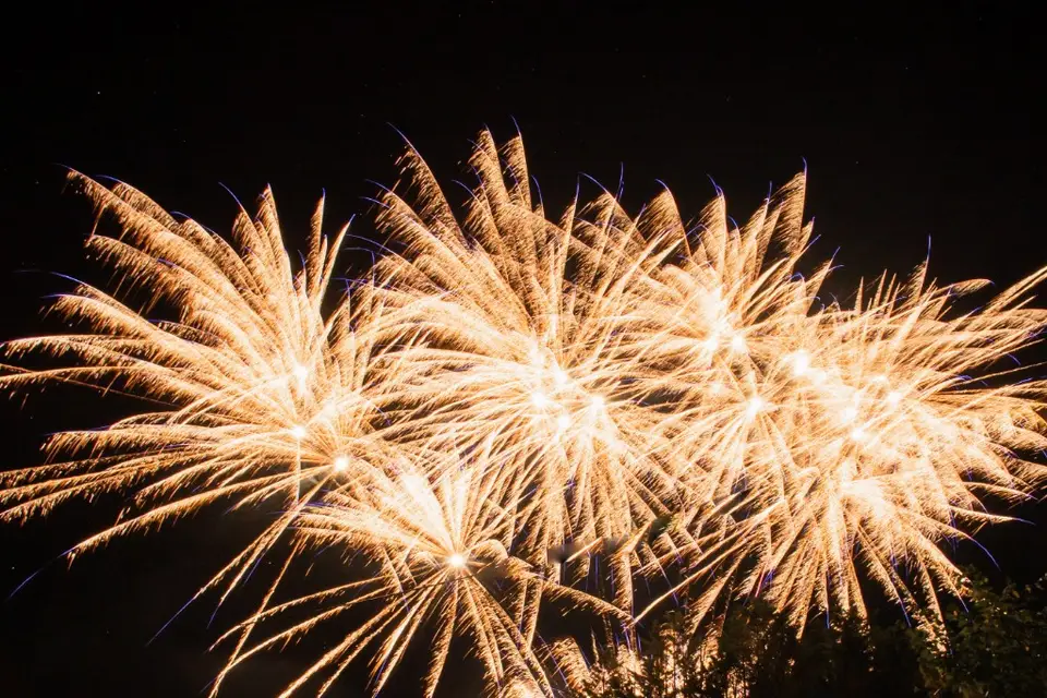 Magniez Artifice — photo 2