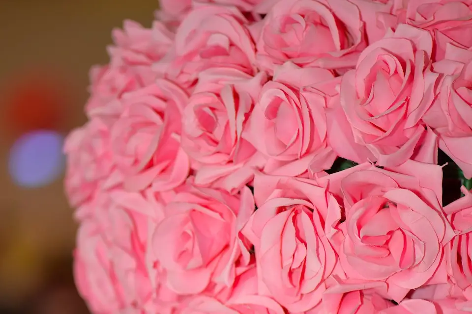 All About Wedding — photo 1