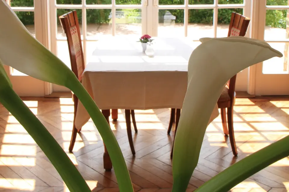 Château Hôtel la Râpée — photo 3