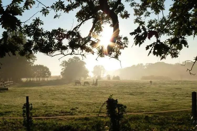 Château Hôtel la Râpée — photo 4