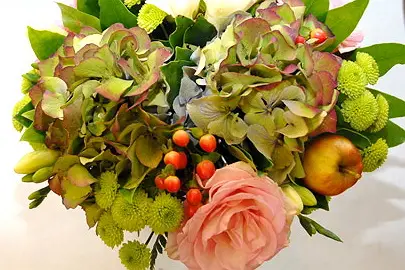 Amaryllis Fleurs — photo 1