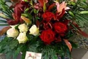 Amaryllis Fleurs — photo 3