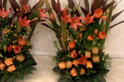 Amaryllis Fleurs — photo 6