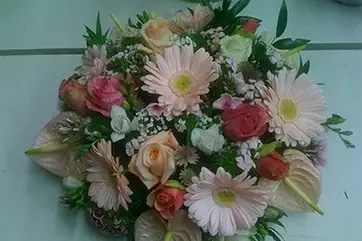 Amaryllis Fleurs — photo 8